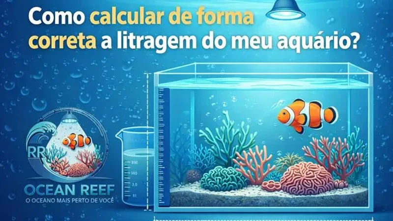 Como calcular a litragem exata do seu aquário e sump